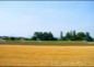 Photo a