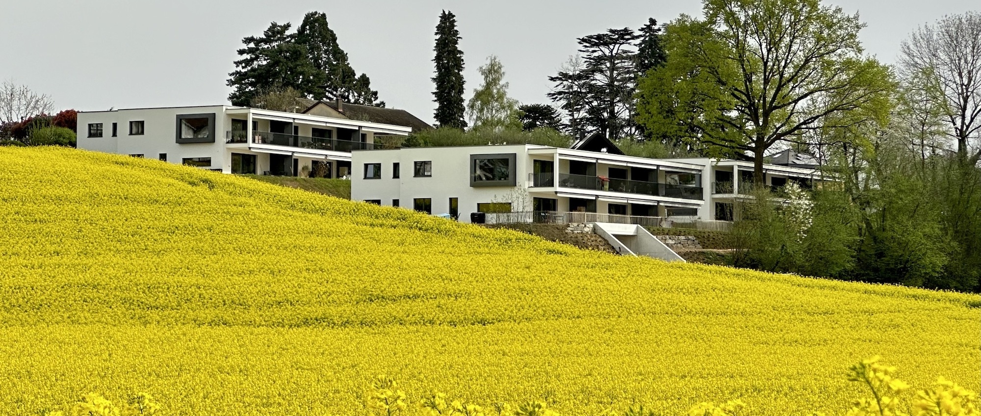 Domaine de La Vignette  3.5 pièces, Chemin des Clos 49 à Ecublens